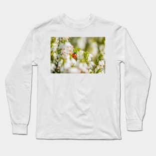 Ladybird amongst the heather Long Sleeve T-Shirt